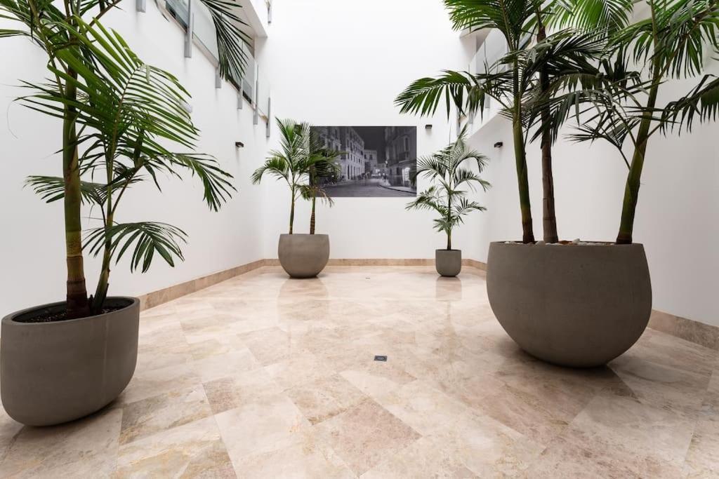 Premium Flat In Malaga Center With Free Parking Διαμέρισμα Εξωτερικό φωτογραφία